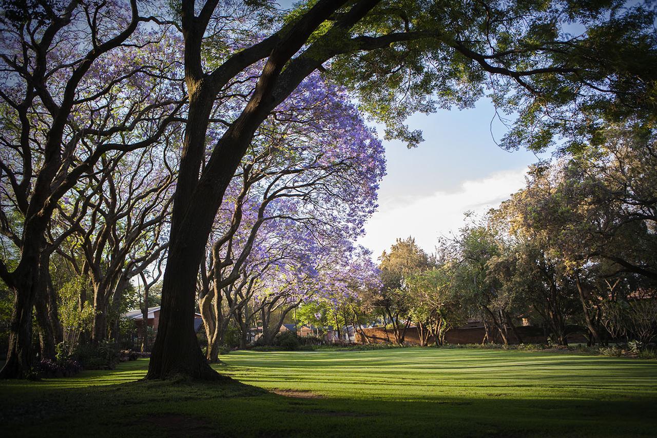 Hotel Pierneef'S Kraal Pretoria-Noord Exterior foto